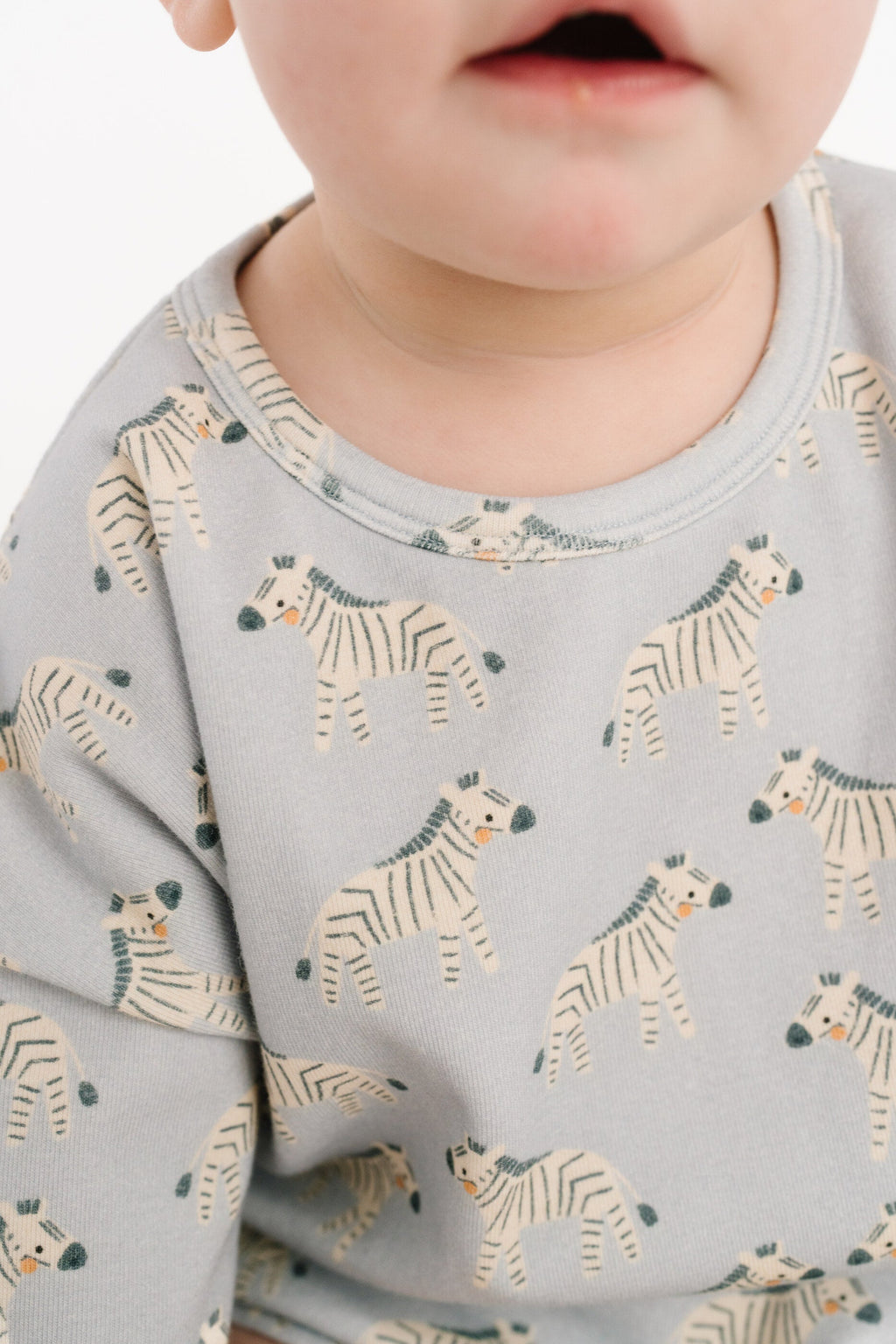 Zebra Friends Slouchy Set